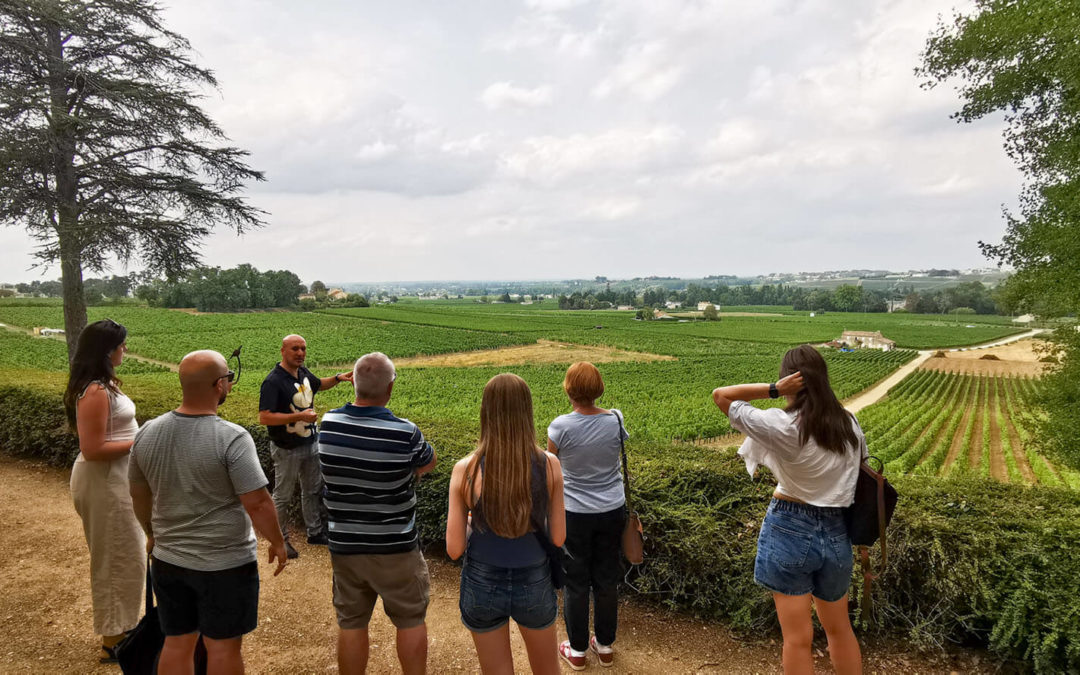 L’Entre-deux-Mers : Une Bouffée d’Air à Deux Pas de Bordeaux