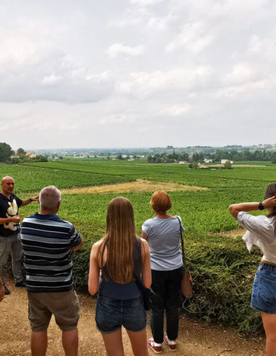 Tour à vélo - Monsieur Bacchus - Saint Émilion