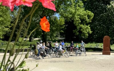 Experience Cities Like Never Before: The Joy of Bike Tours