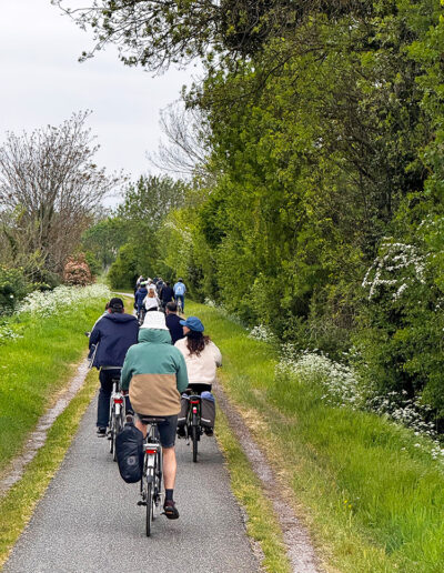 E-Bike Adventure: Explore Bordeaux Backcountry’s Vineyards, Heritage, and Food Culture