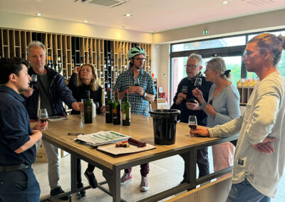 Media jornada con Bacchus: De Burdeos al Entre-deux-Mers ¡Bicicleta eléctrica y vino!