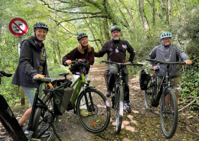 Media jornada con Bacchus: De Burdeos al Entre-deux-Mers ¡Bicicleta eléctrica y vino!
